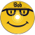 MS-Bob on DVD